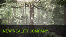 New Reality Company New Reality Company