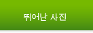 뛰어난 사진