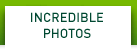 INCREDIBLE PHOTOS