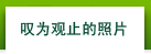 叹为观止的照片
