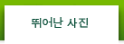 뛰어난 사진