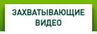 ЗАХВАТЫВАЮЩИЕ ВИДЕО