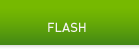 Flash