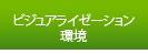 Visual Environments