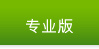 专业版