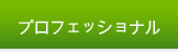 プロフェッショナル