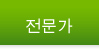 전문가