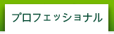 プロフェッショナル