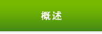 概述