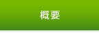 概要