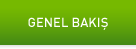 Genel Bakis