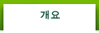 개요