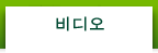 비디오