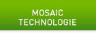 NVIDIA Mosaic Technology