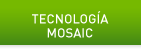 NVIDIA Mosaic Technology