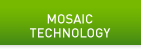 NVIDIA Mosaic Technology