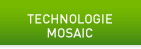 NVIDIA Mosaic Technology