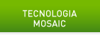 NVIDIA Mosaic Technology