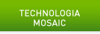 NVIDIA Mosaic Technology