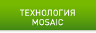 NVIDIA Mosaic Technology
