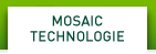 NVIDIA Mosaic Technology