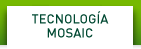 NVIDIA Mosaic Technology
