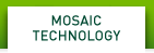NVIDIA Mosaic Technology