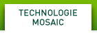 NVIDIA Mosaic Technology