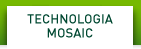 NVIDIA Mosaic Technology
