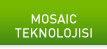 Mosaic Teknolojisi