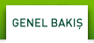Genel Bakis
