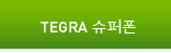 TEGRA 슈퍼폰