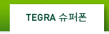 TEGRA 슈퍼폰