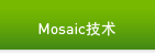 Mosaic技术