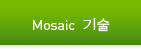 Mosaic 기술