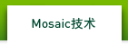 Mosaic技术