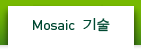 Mosaic 기술