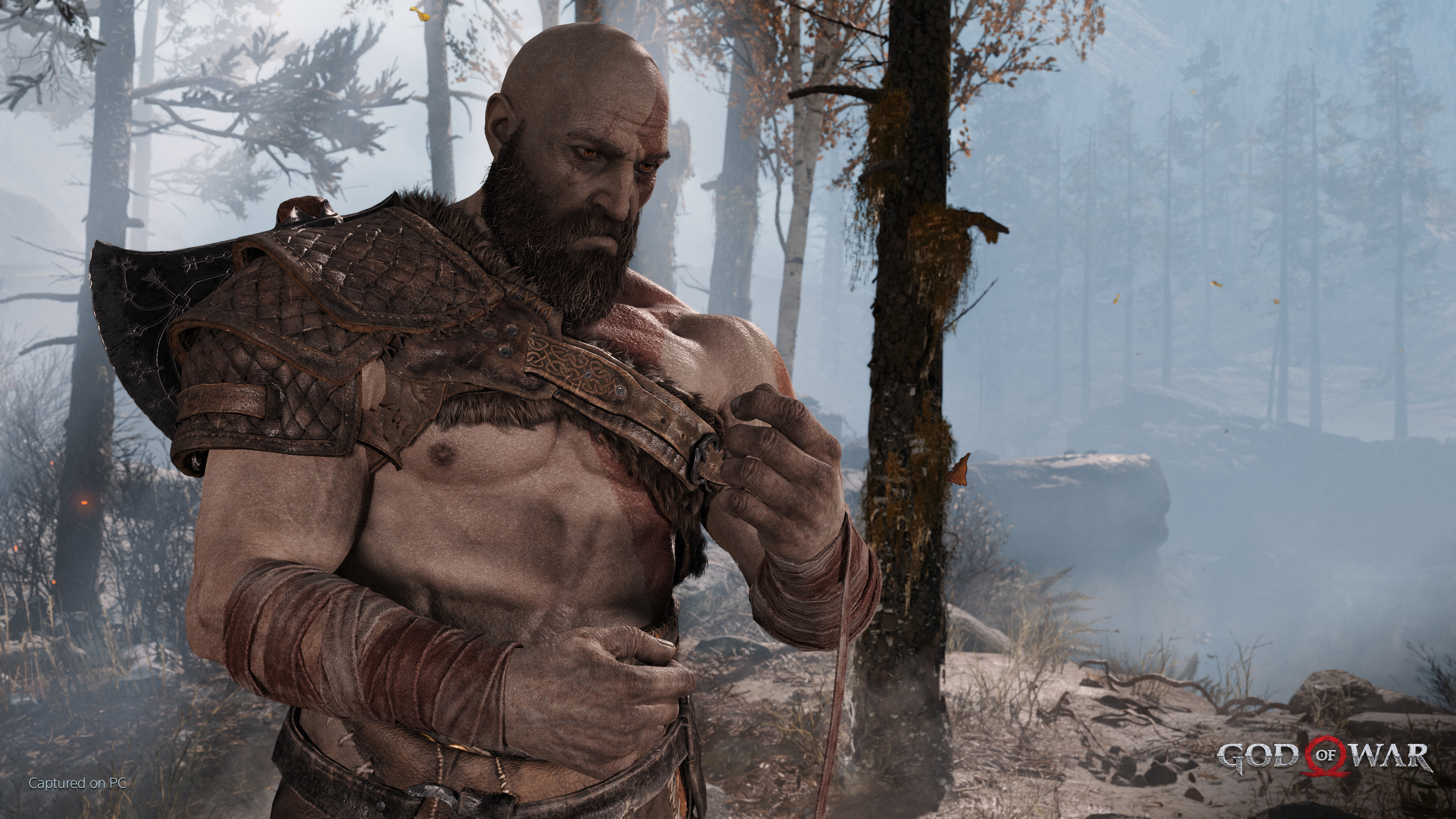 God of War PC - Disable Depth of Field 