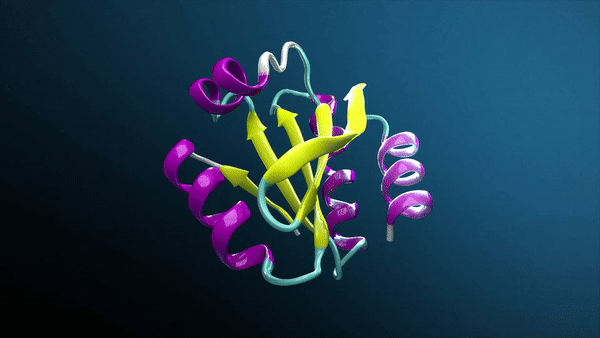  NVIDIA BioNeMo Framework optimizes training protein 