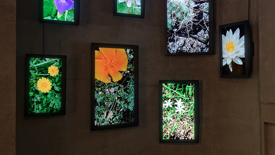 Anna Ridler at the AI Art Gallery | NVIDIA