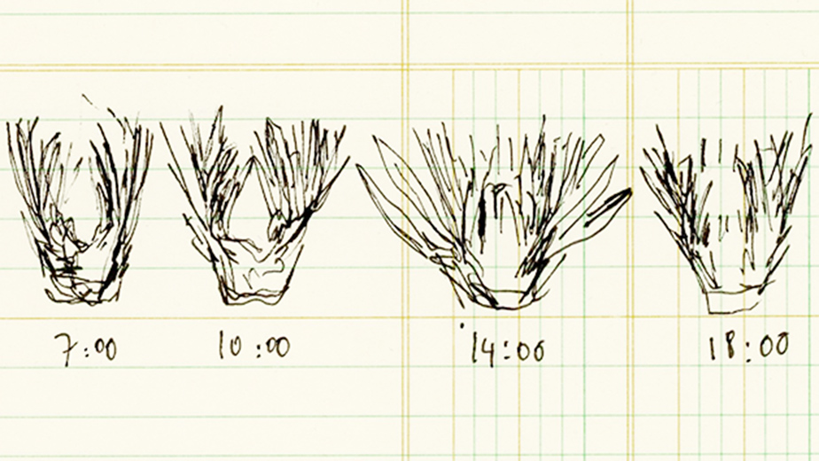 Anna Ridler at the AI Art Gallery | NVIDIA