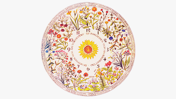 Anna Ridler at the AI Art Gallery | NVIDIA