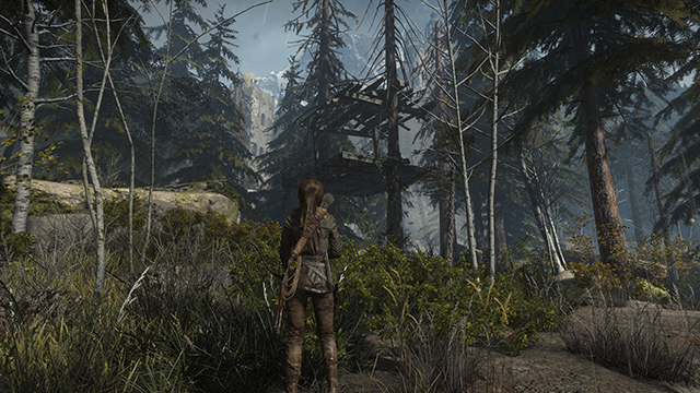 Rise of the Tomb Raider Graphics & Performance Guide