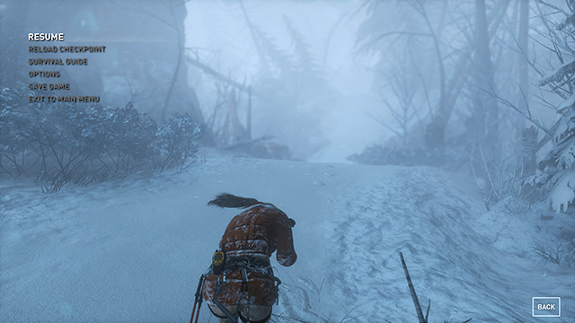 Rise of the Tomb Raider - Depth of Field Interactive Comparison #003 - Very High vs. Off