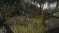 Rise of the Tomb Raider - Dynamic Foliage Example #001 - Medium