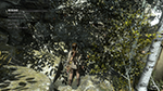 Rise of the Tomb Raider - Sun Soft Shadows Example #001 - Off