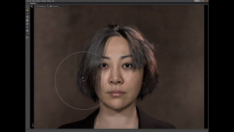 Interactive Hair Simulation